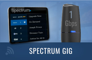 Spectrum Gig Internet Plan